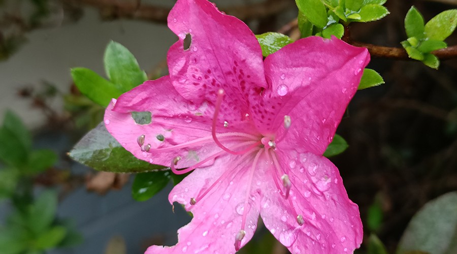 Image: Alex Kidman/Finder Oppo Find X5 Lite