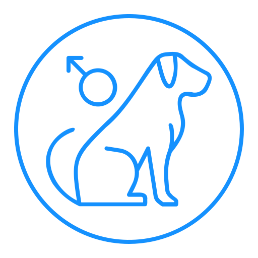 Male dog